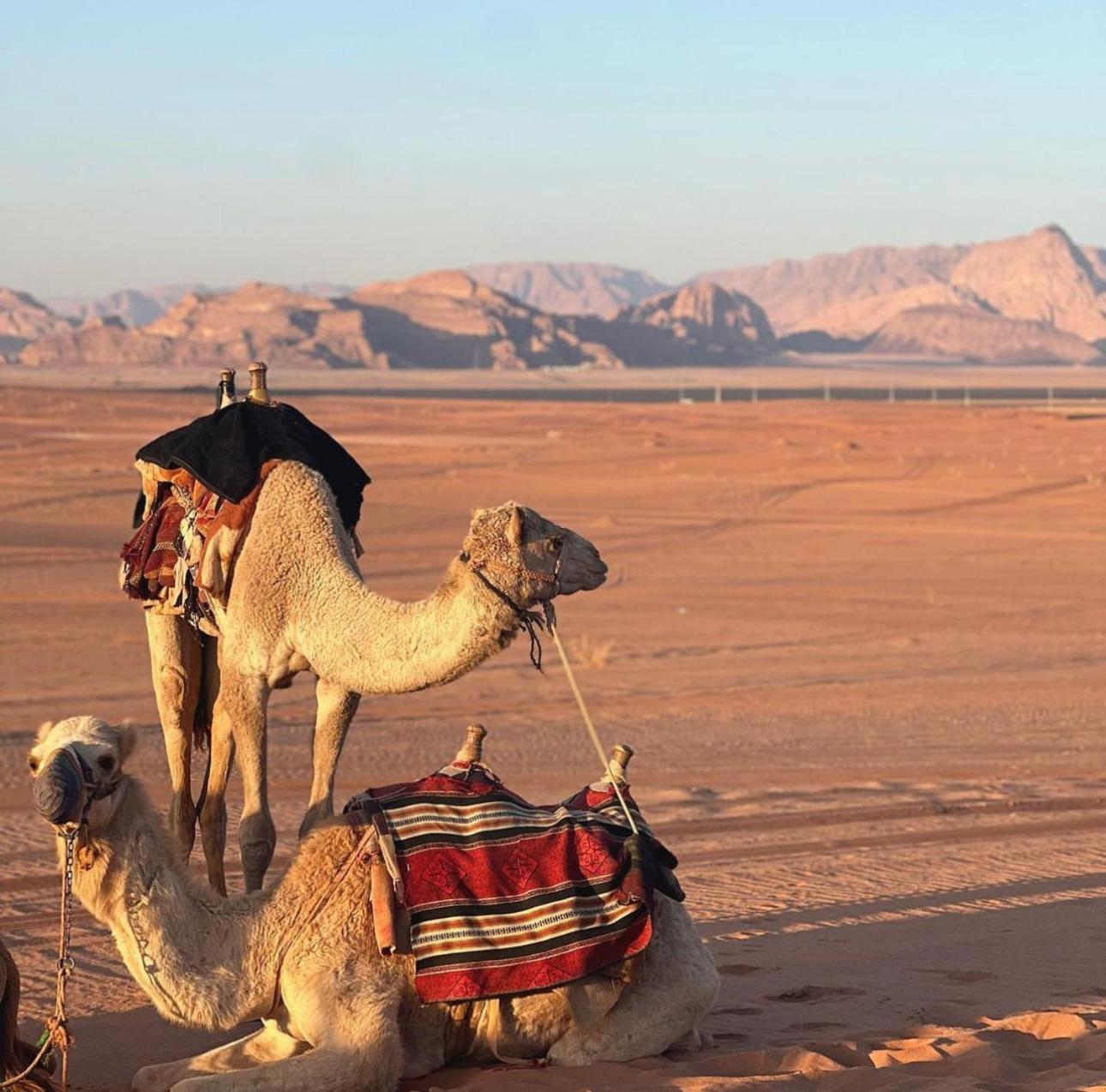 Hotel Hasan Zawaideh Luxury Camp 2 à Wadi Rum Extérieur photo